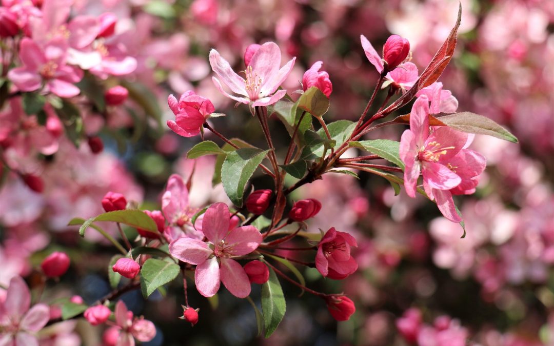 Créneaux vacances avril 2026